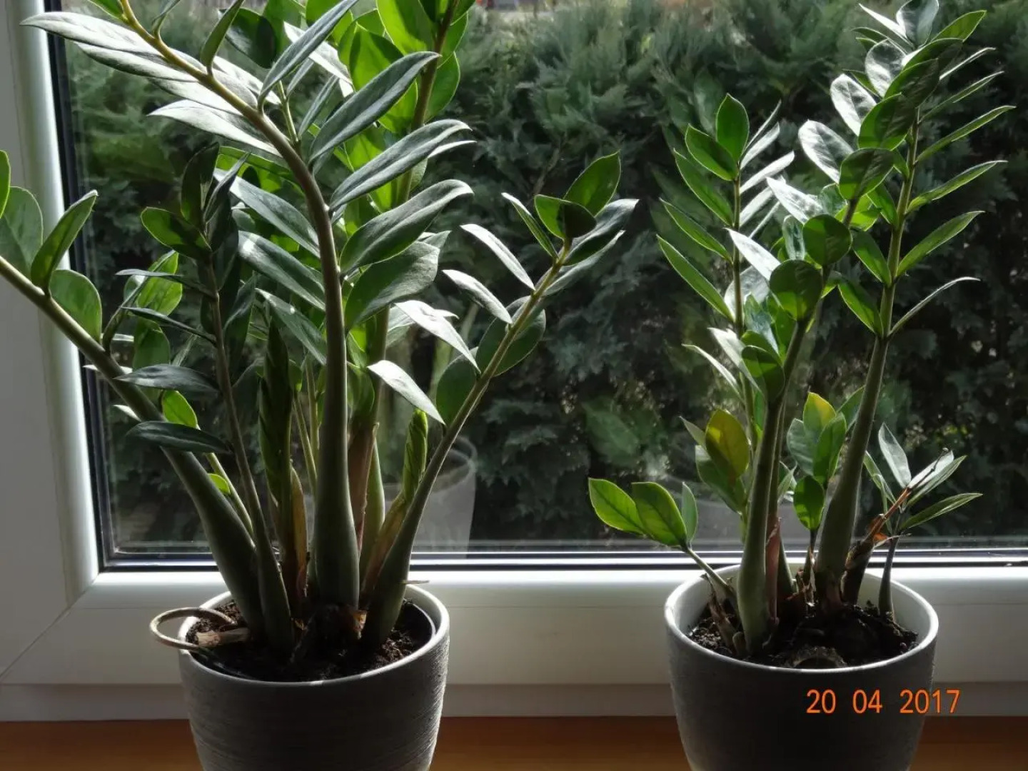 Pokoje gościnne Herta