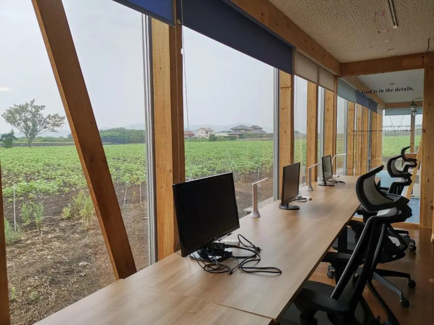 COCORETO Daikon Island