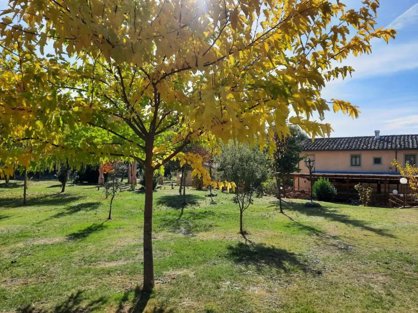 SassoMatto