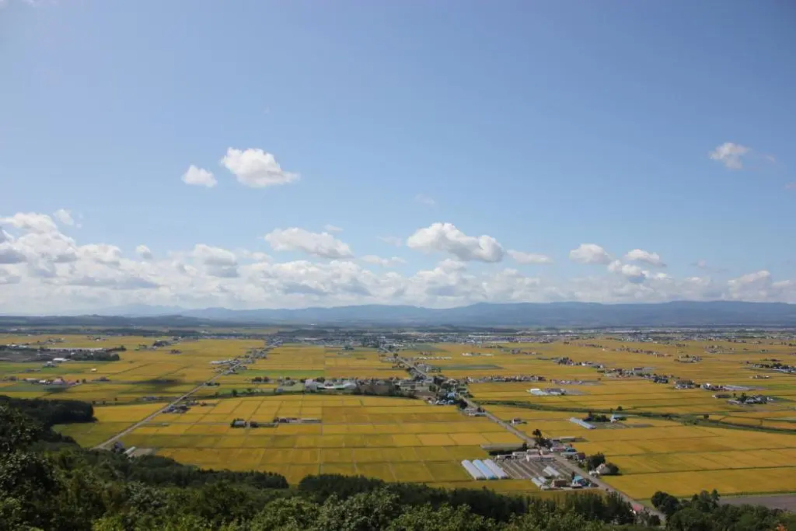 Play Ground BASE -higashikawa-