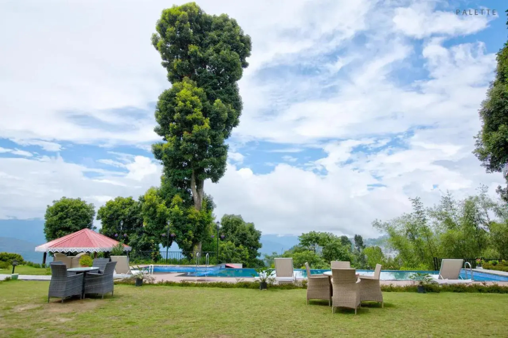 Pine Tree Spa Resort