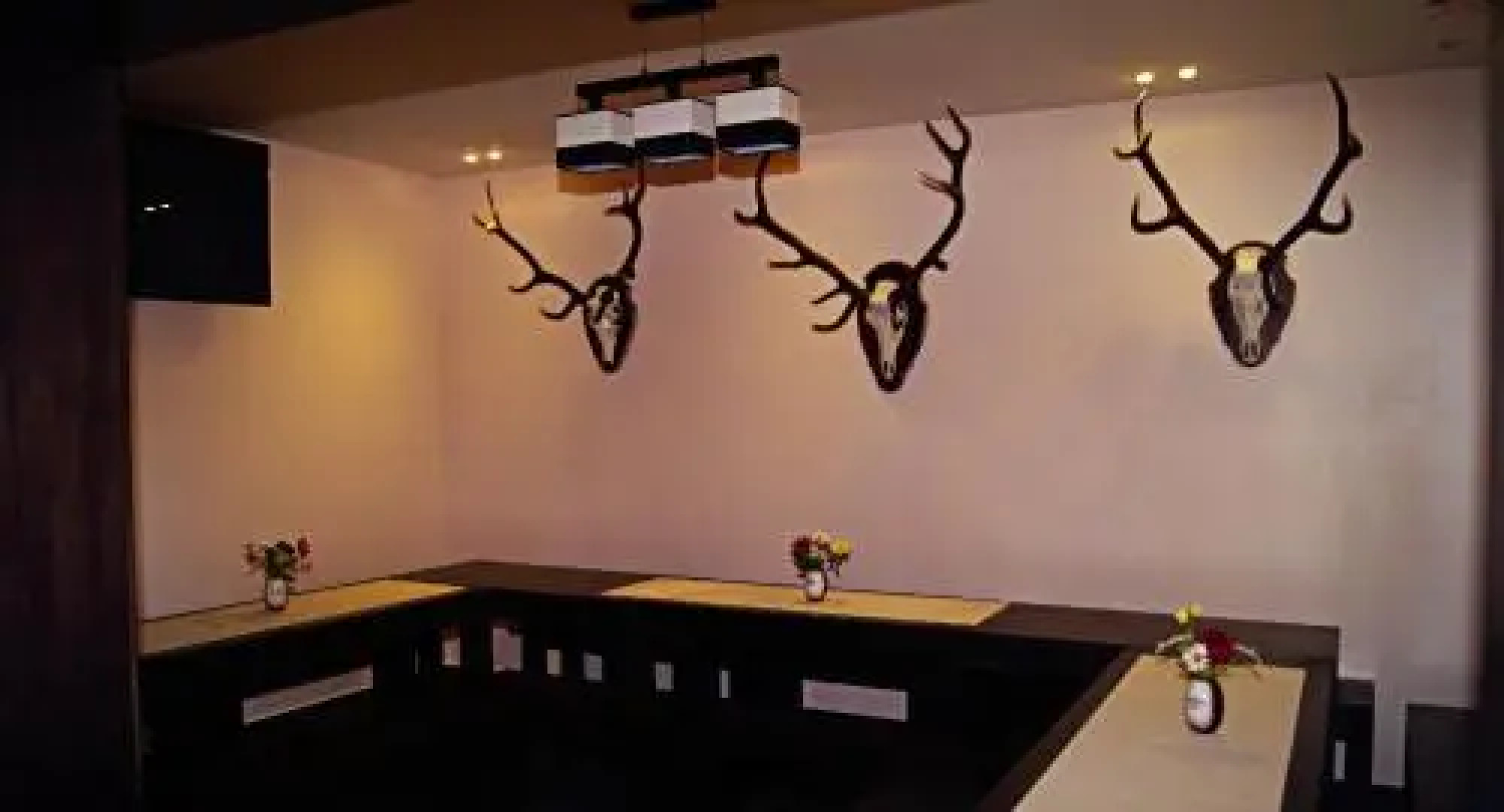 Viesu nams Raibais Asaris