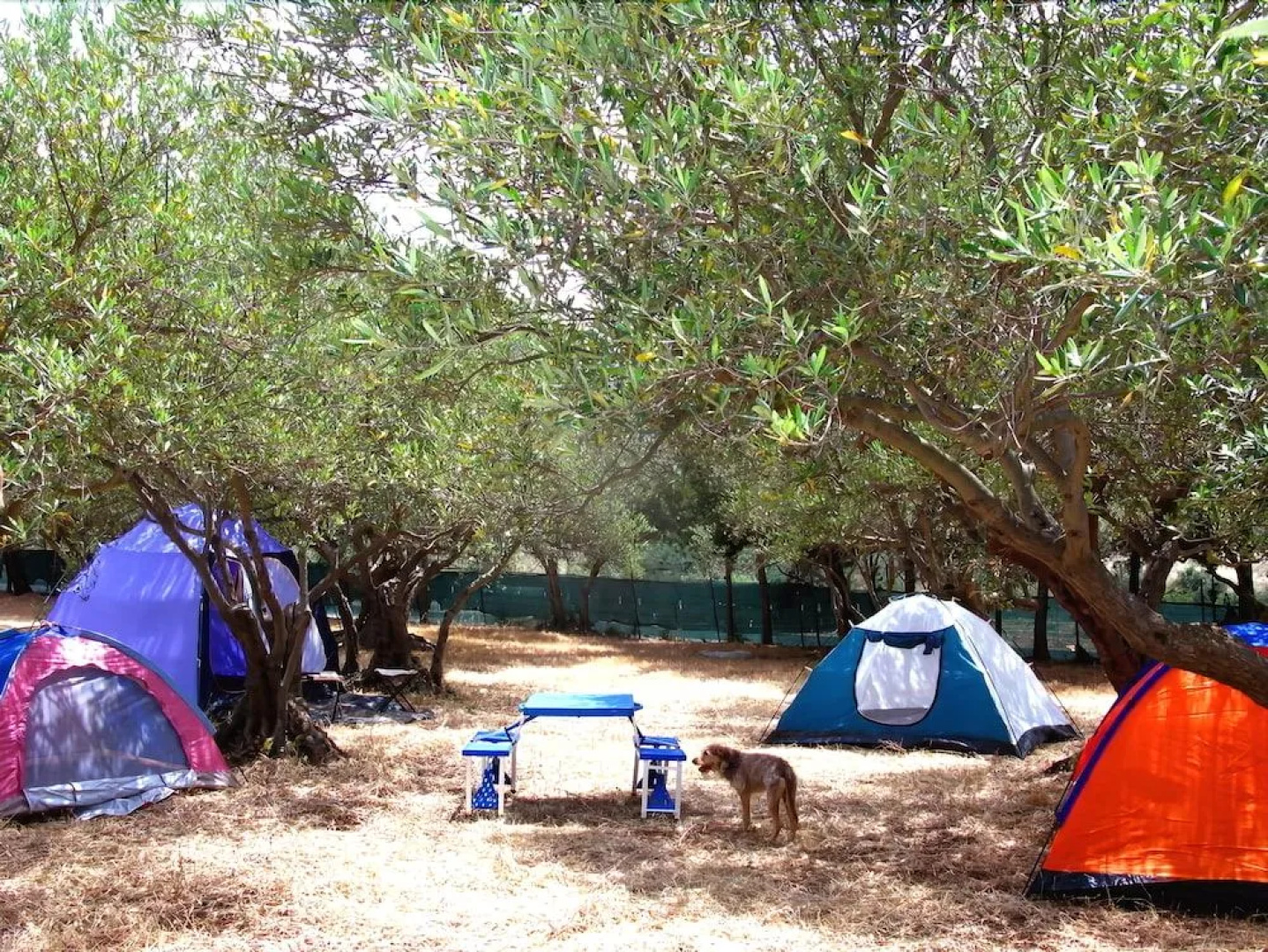 Camping Ciauli