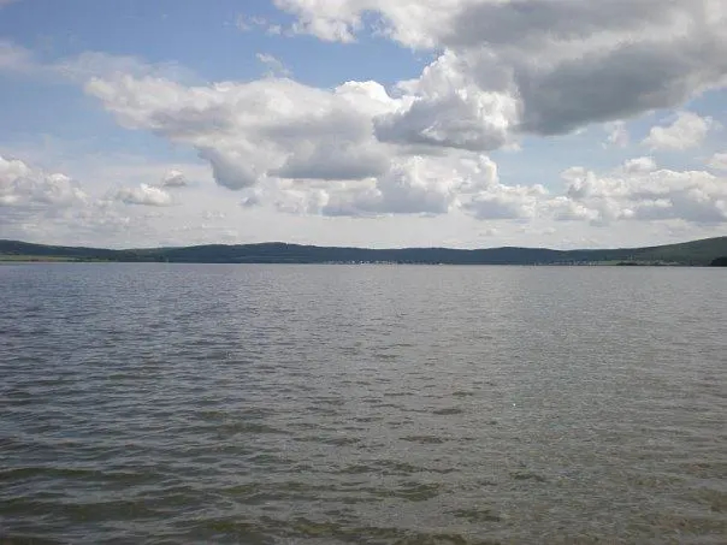 Лесная Сказка