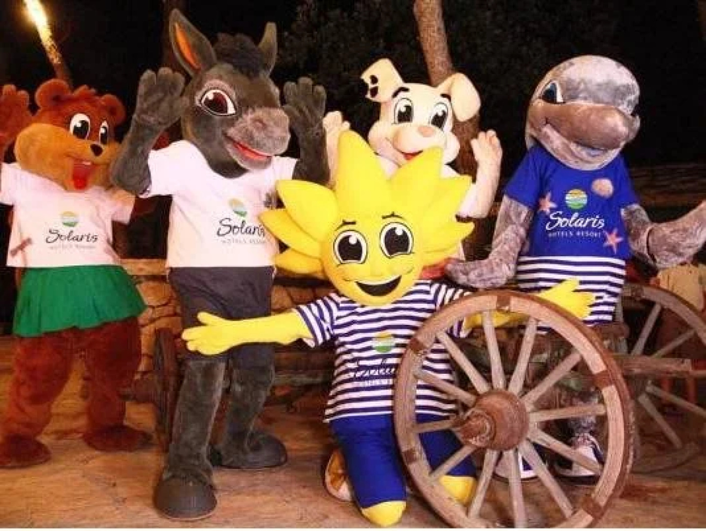 Amadria Park Camping Mobile Homes