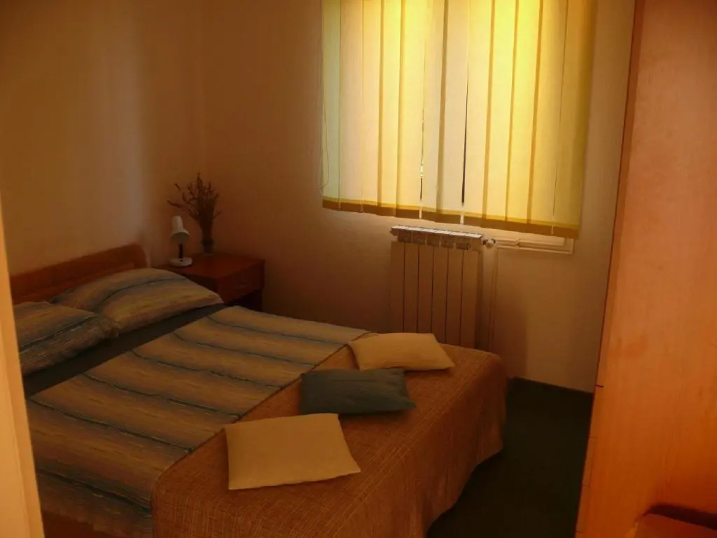 Apartment Branimir