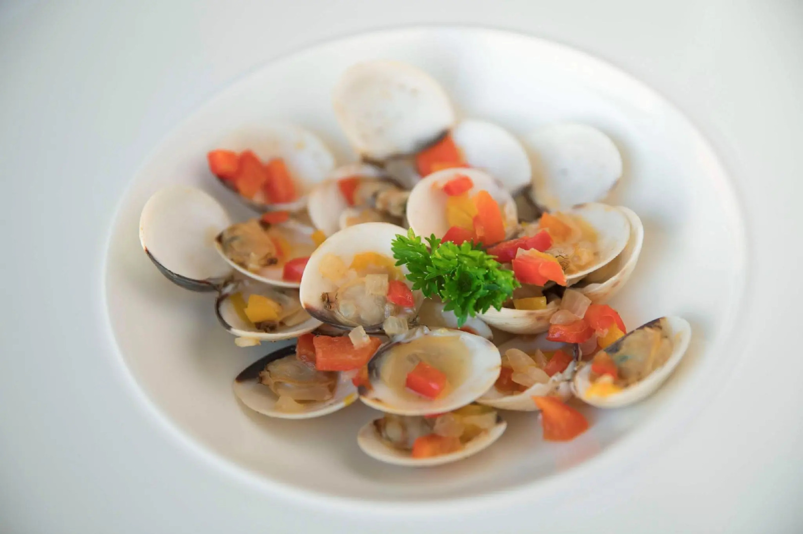 Excellence Oyster Bay