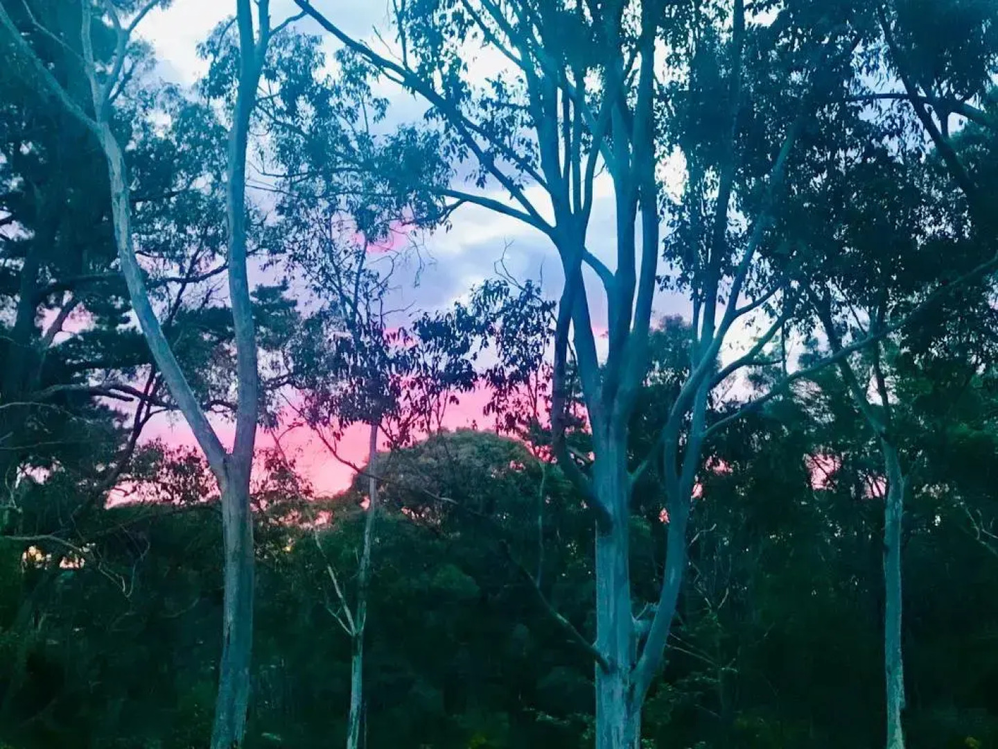 Eastern Hill Creswick