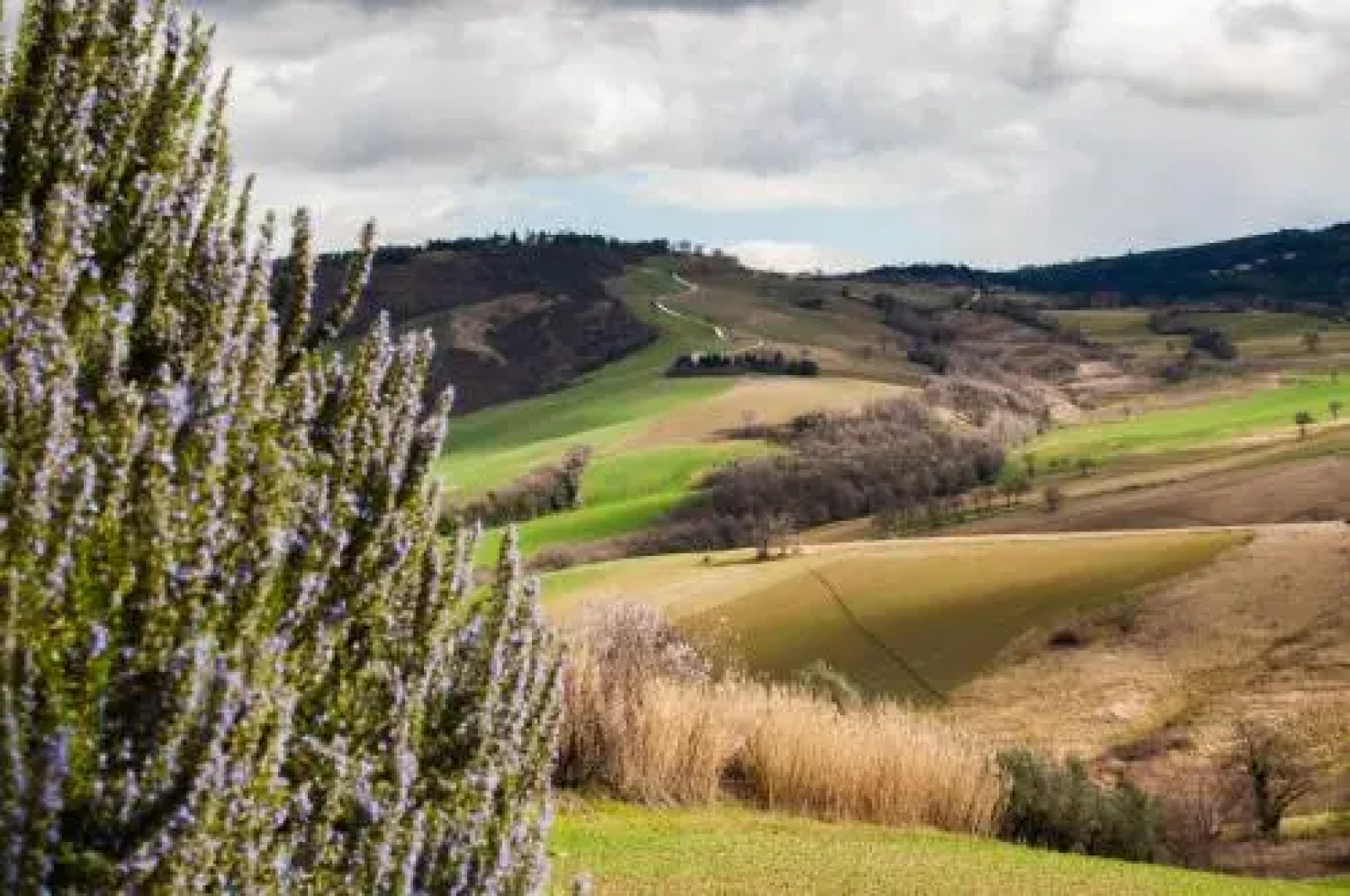Farm stay Agriturismo Casa Martelletto