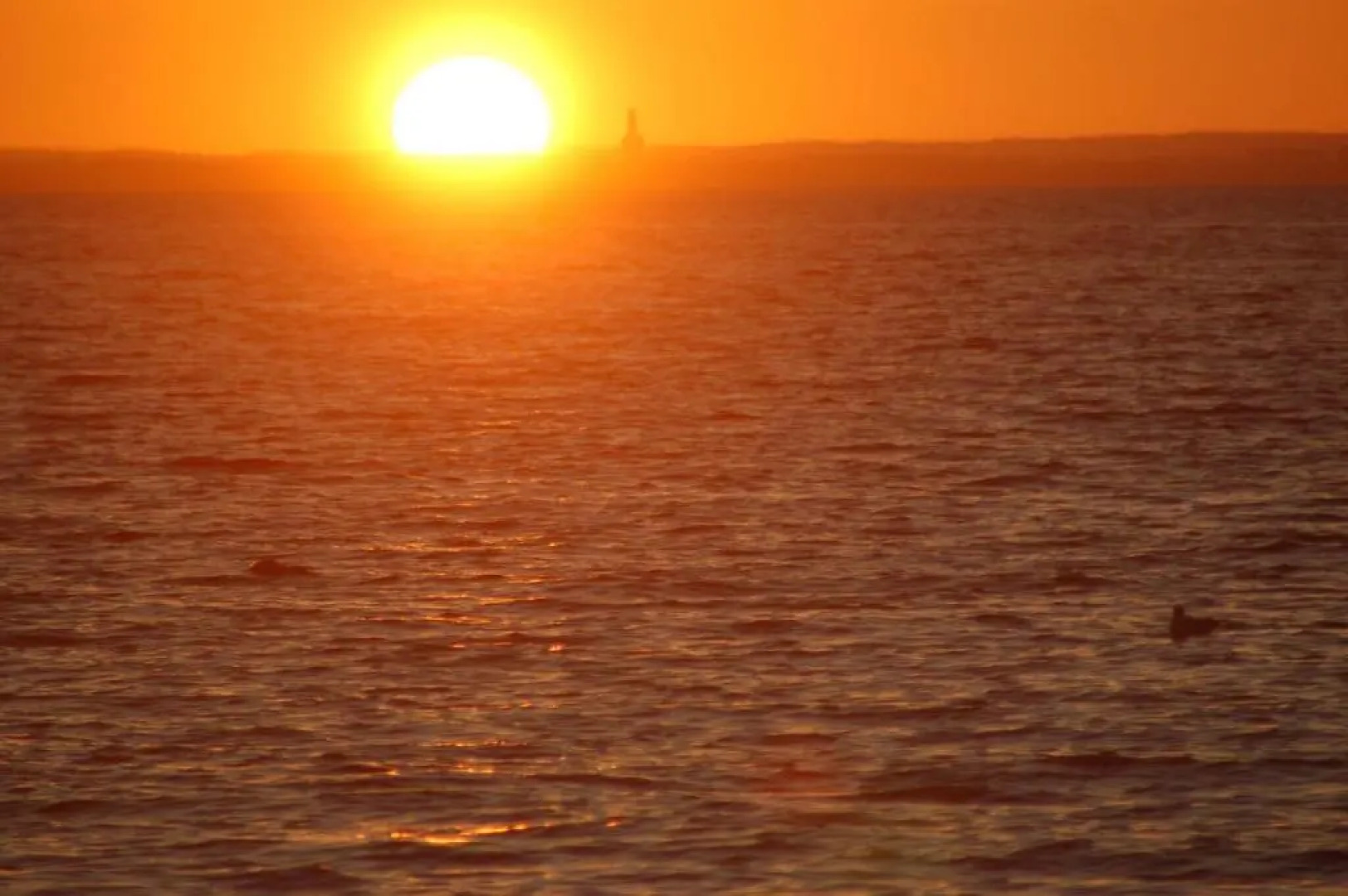 Ostsee-Ferienoase-3-Raum-App-Typ-1