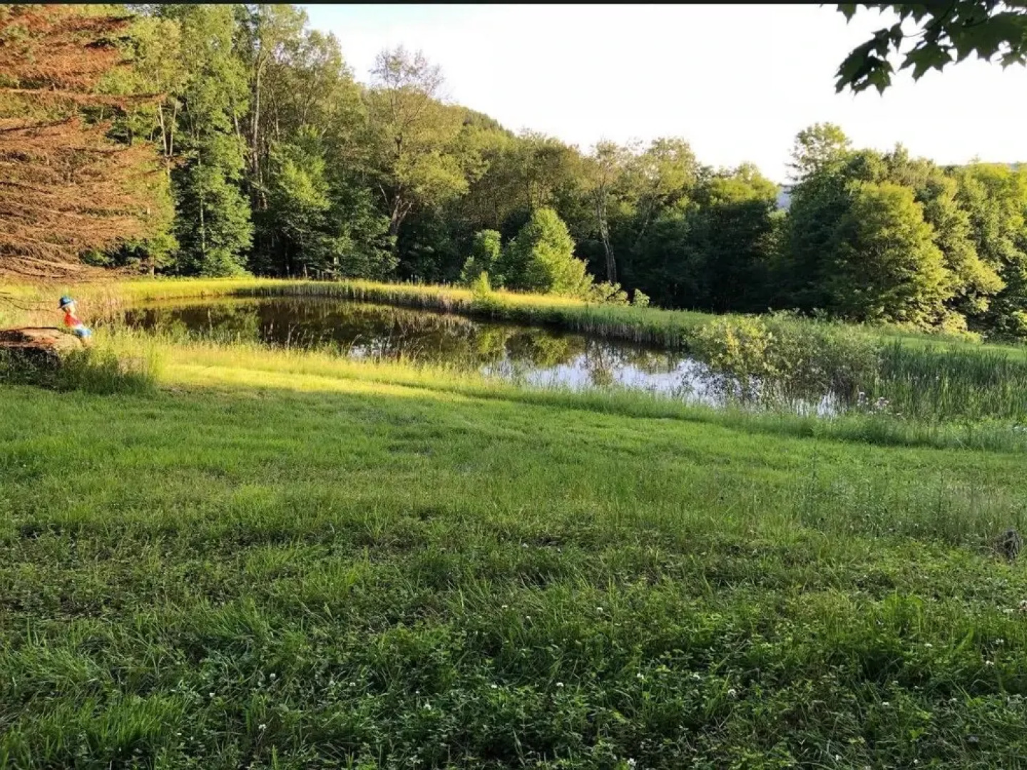 Tentrr - Hummingbird Haven