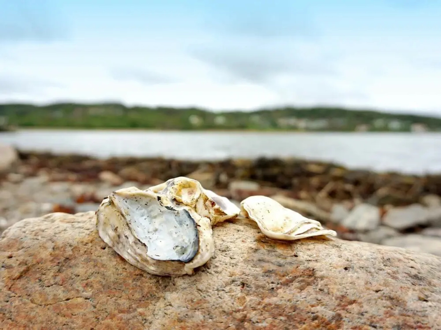 Holiday Home in Kode