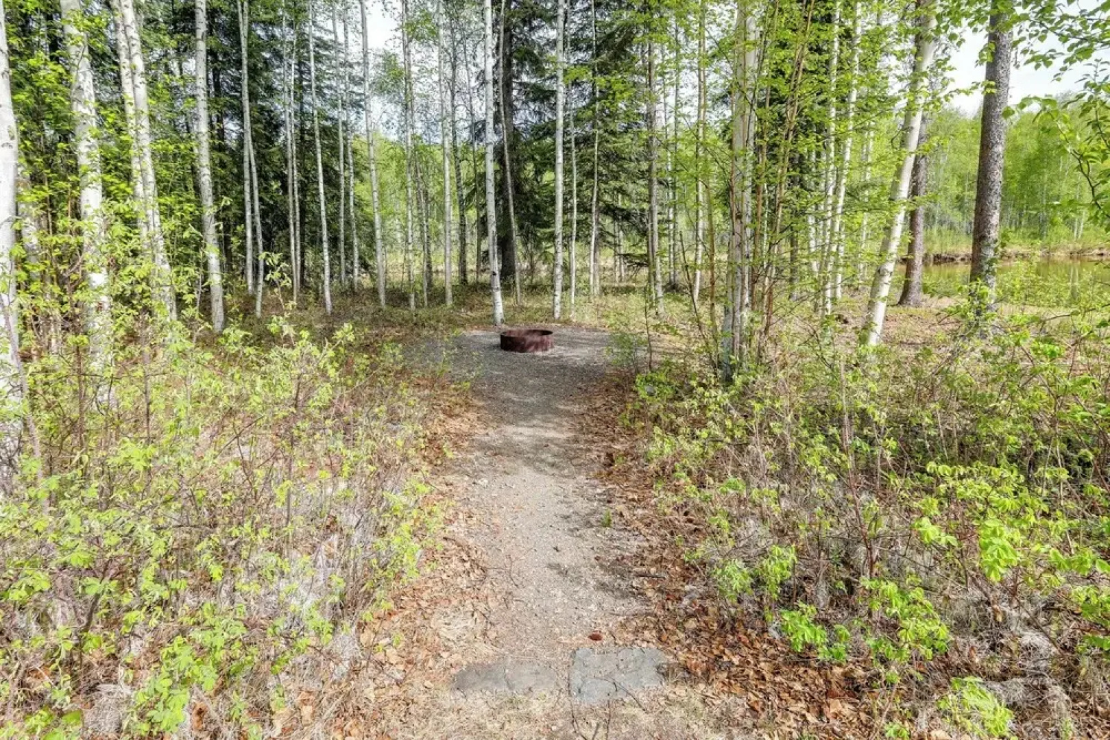 Riverside Log Cabin: On-site Aurora Viewing!