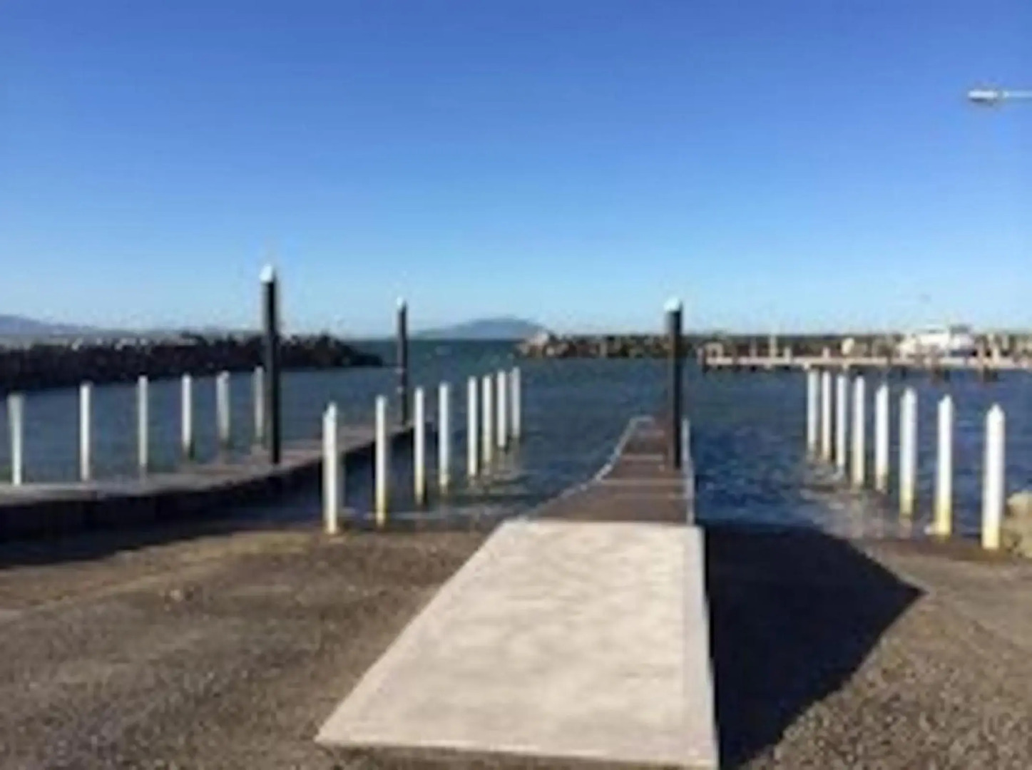 Harrys Haven Harrington