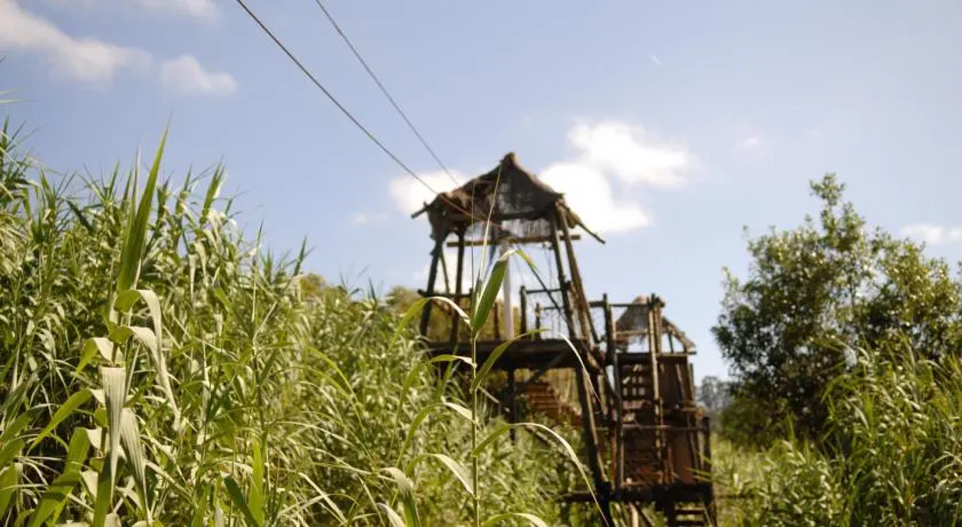 Aula-Albergue De La Naturaleza La Laurisilva