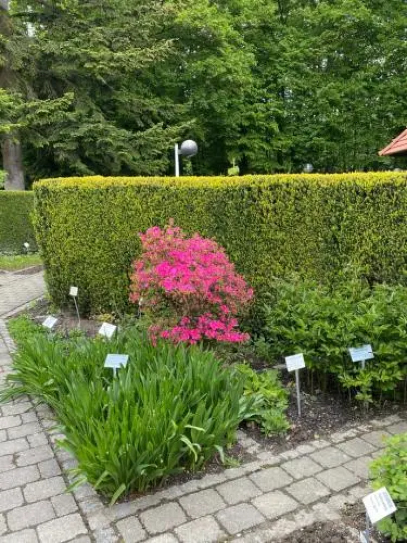 Appartementhof Stadler