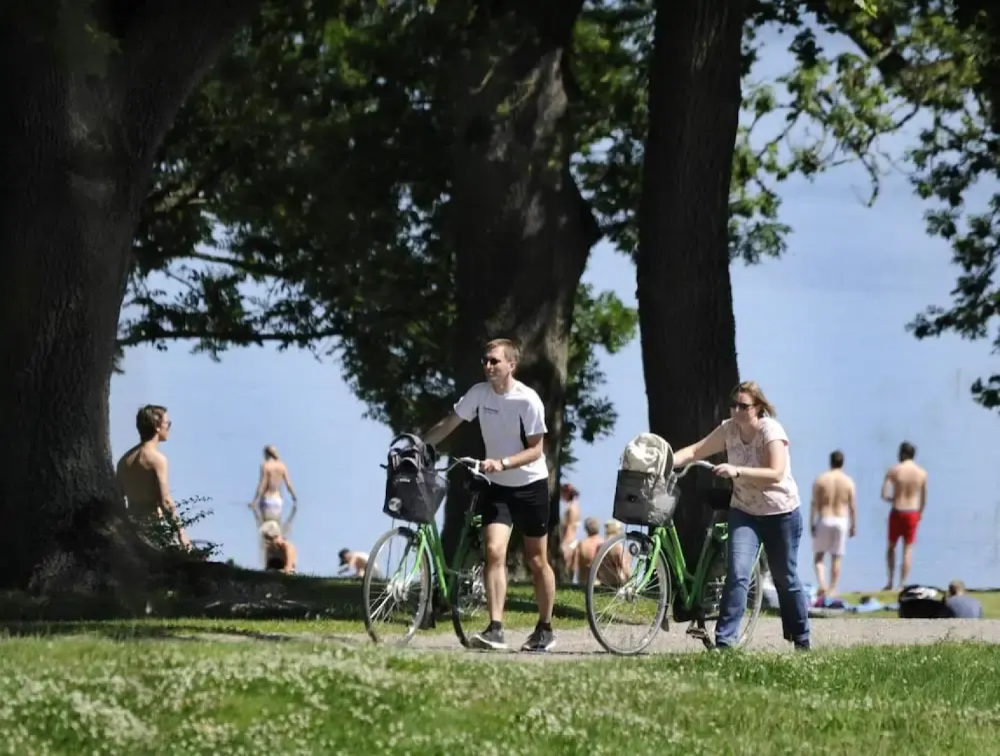 Bergs Slussar Vandrarhem & Stugor - Hostel