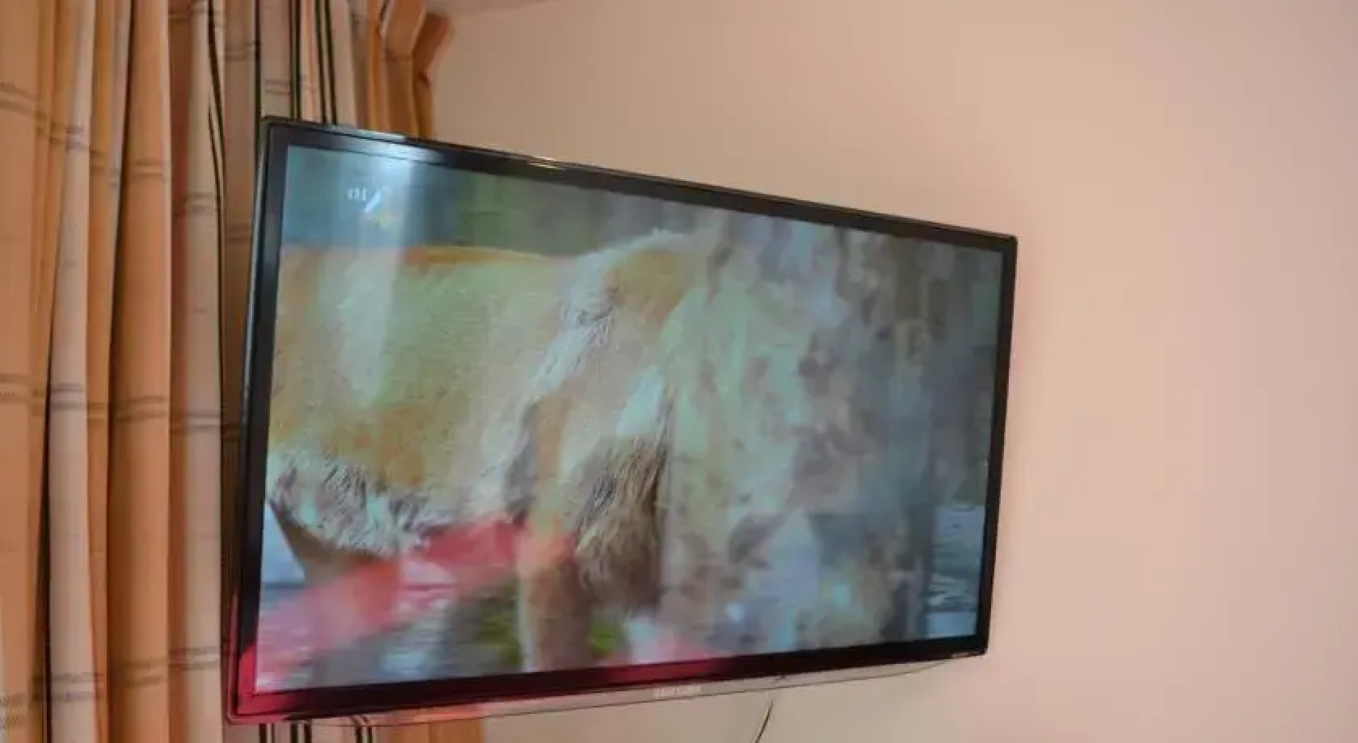 Studio Max Zandvoort