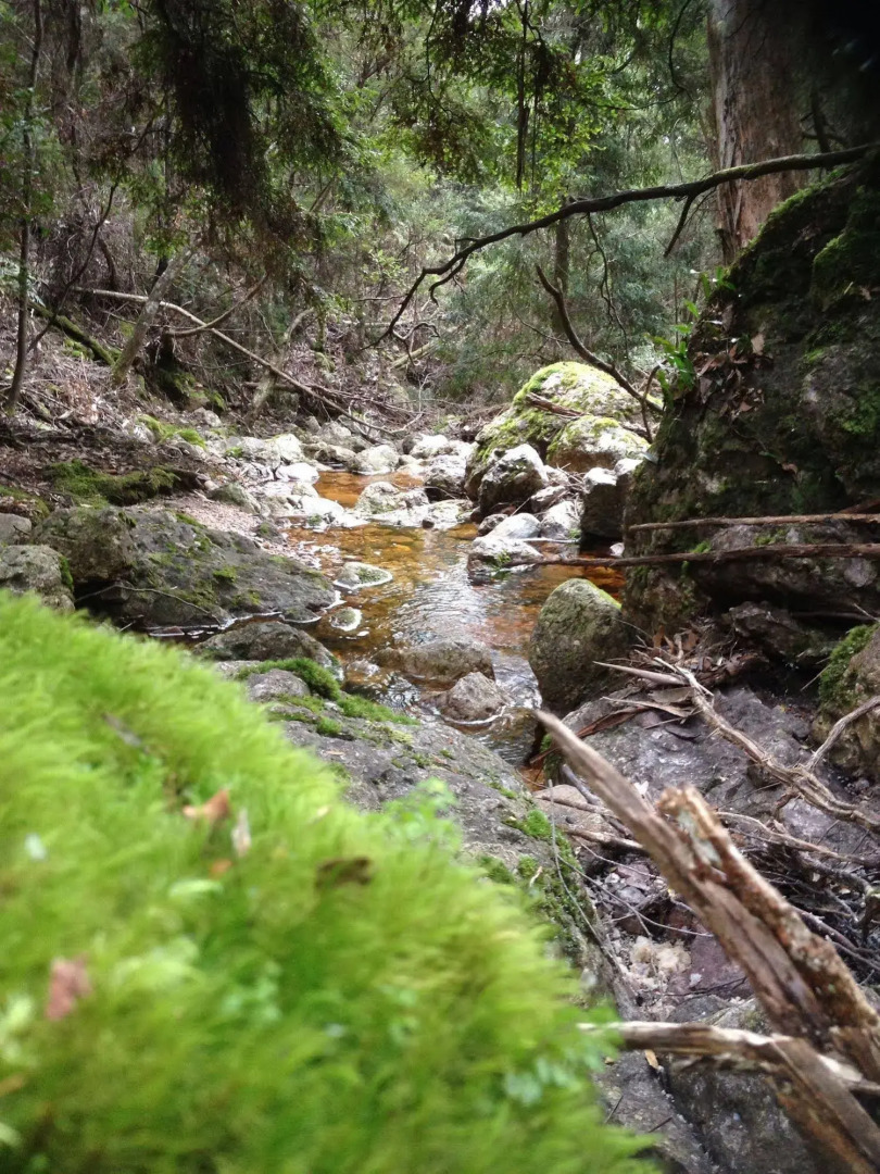 Silver Ridge Retreat