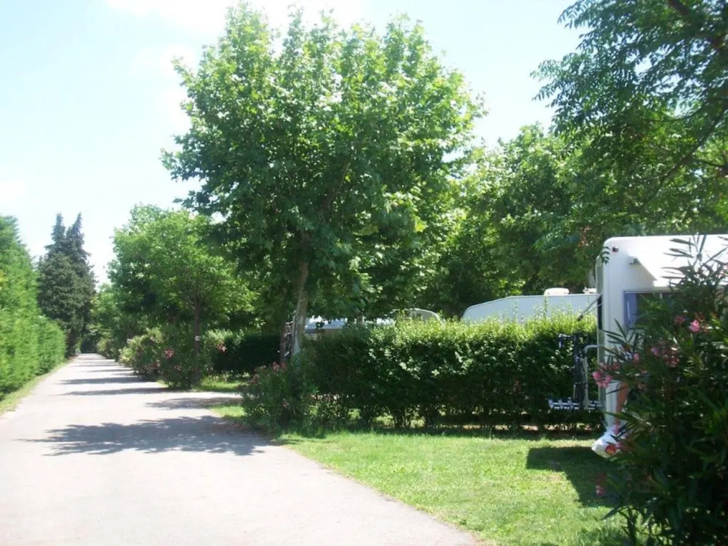 Aloe Camping Lou Comtadou