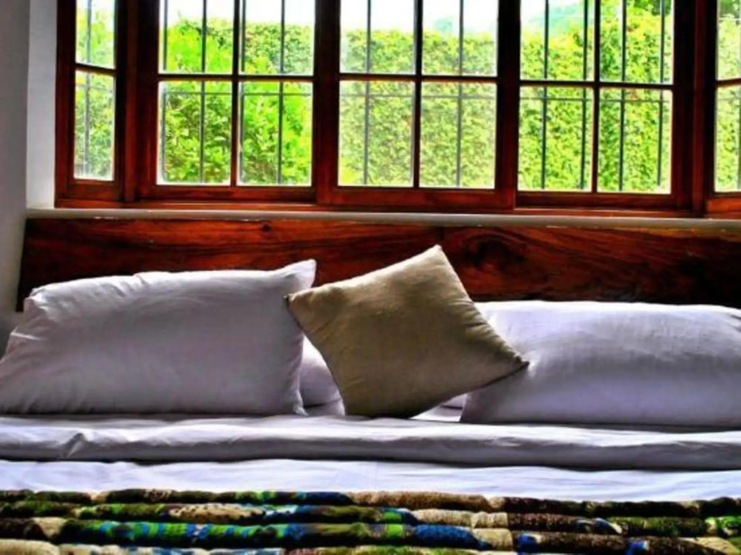 Iguanazú Bed & Breakfast