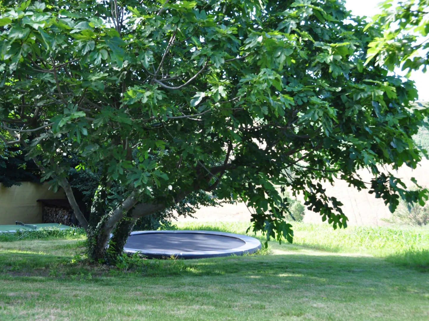 Amazing Apartment in Belvedere Ostrense With Garden