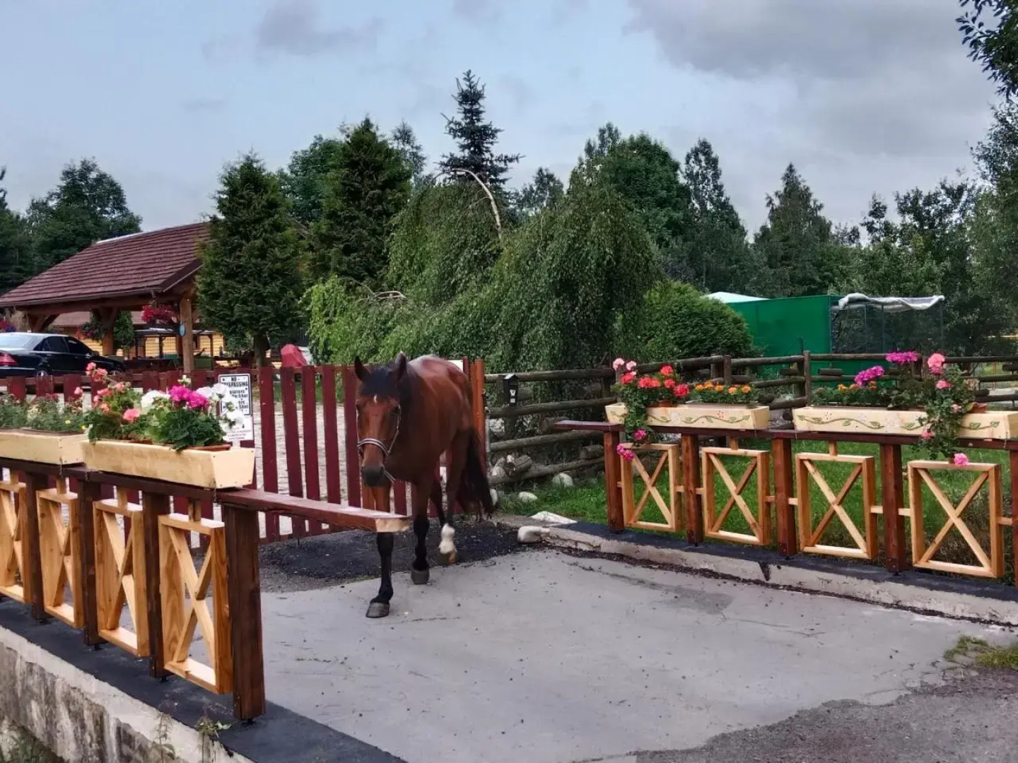 Penzión Monty Ranch