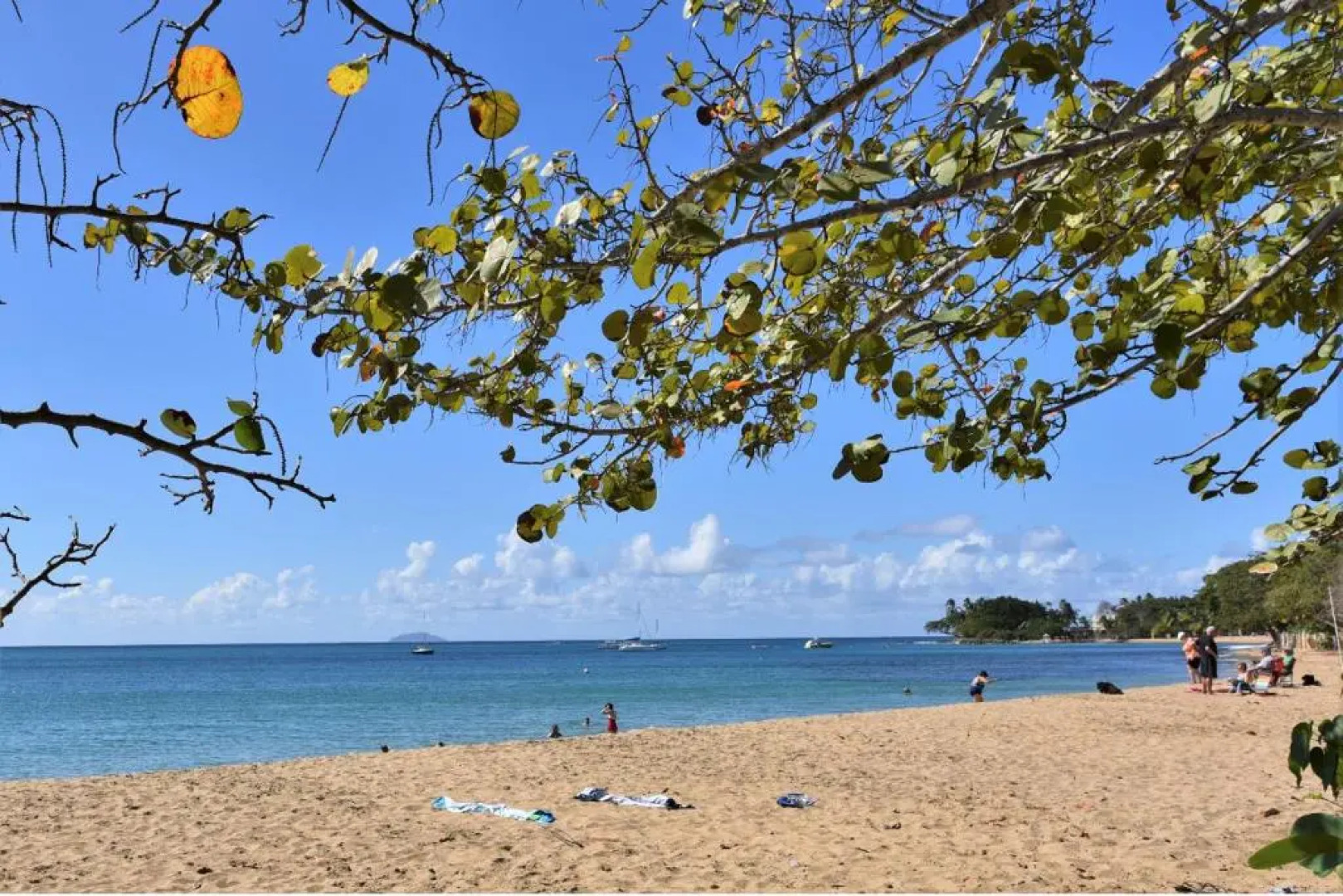 Coqui penthouse 2 across Rincon beach, pool, bbq, power and water bup