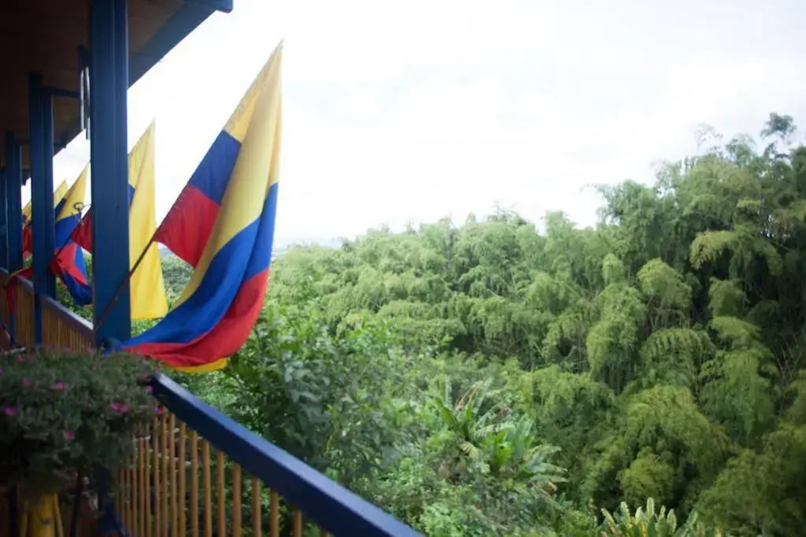 Finca Hotel Los girasoles