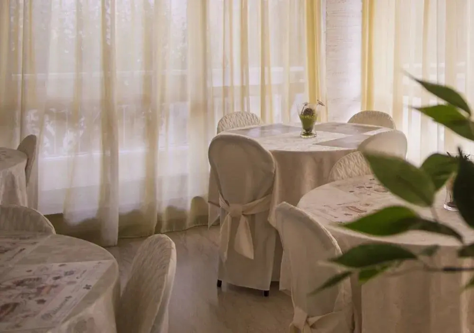 Hotel Fucsia