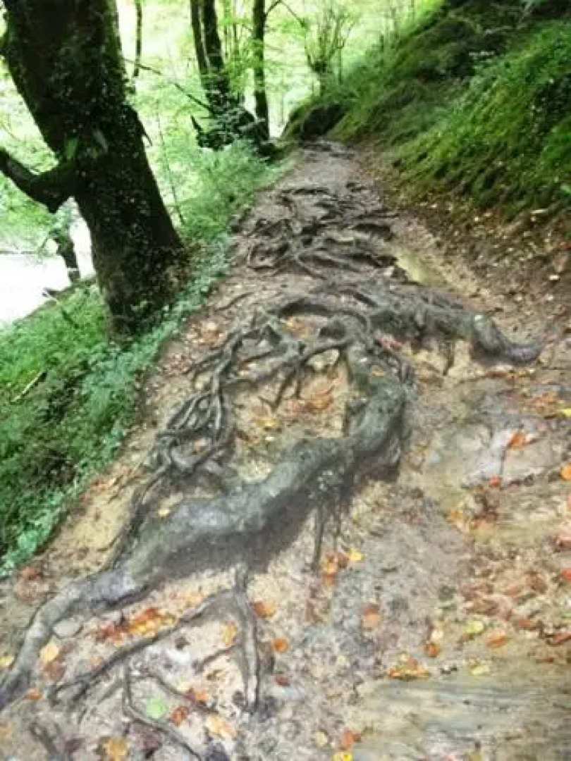 Hotel Rural Aribe Irati