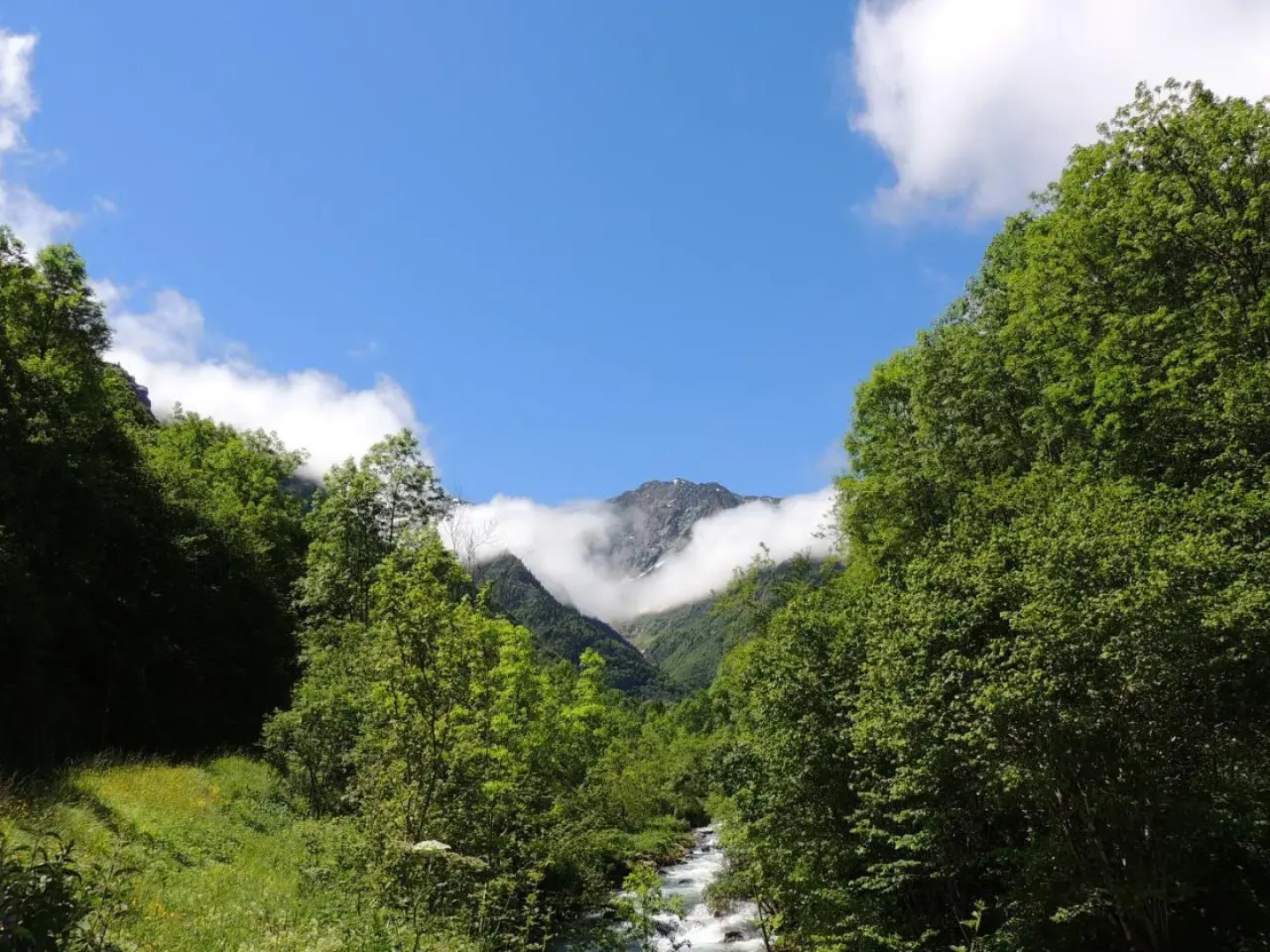 Auberge Les Myrtilles