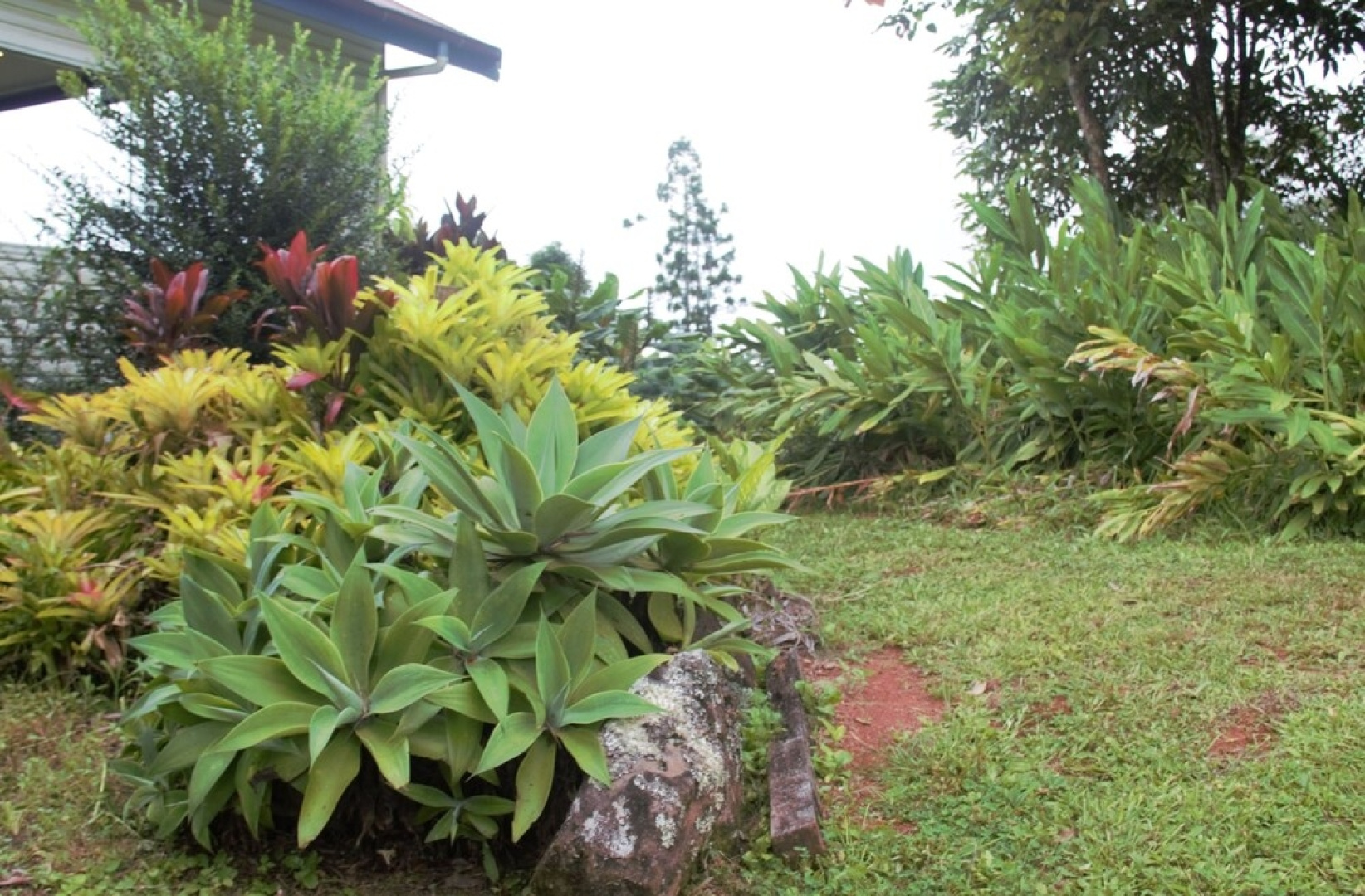 Falls Teahouse B&B
