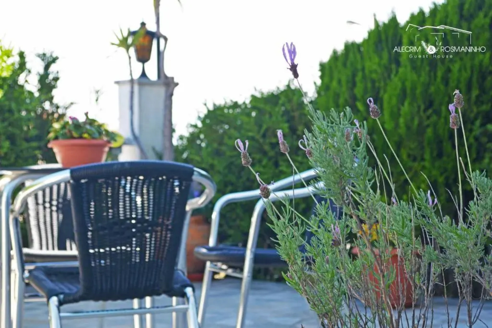 Alecrim Rosmaninho Guest House