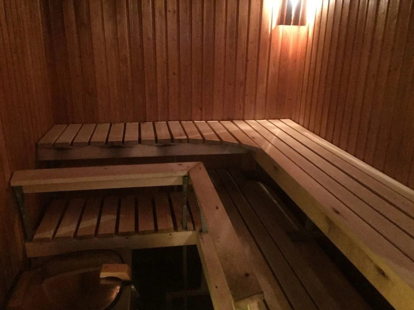 Porotila Toini Sanila