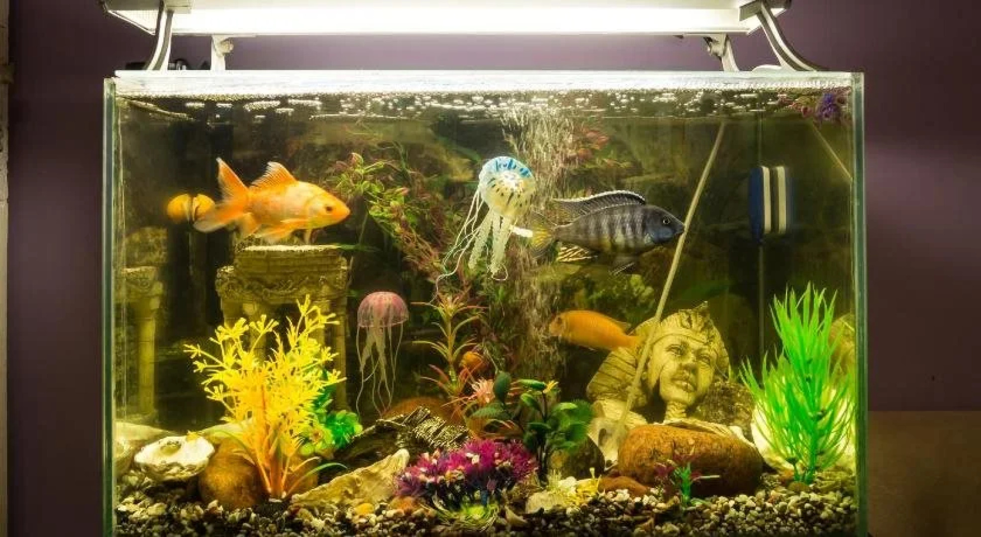 Hostel Akteon Lindros