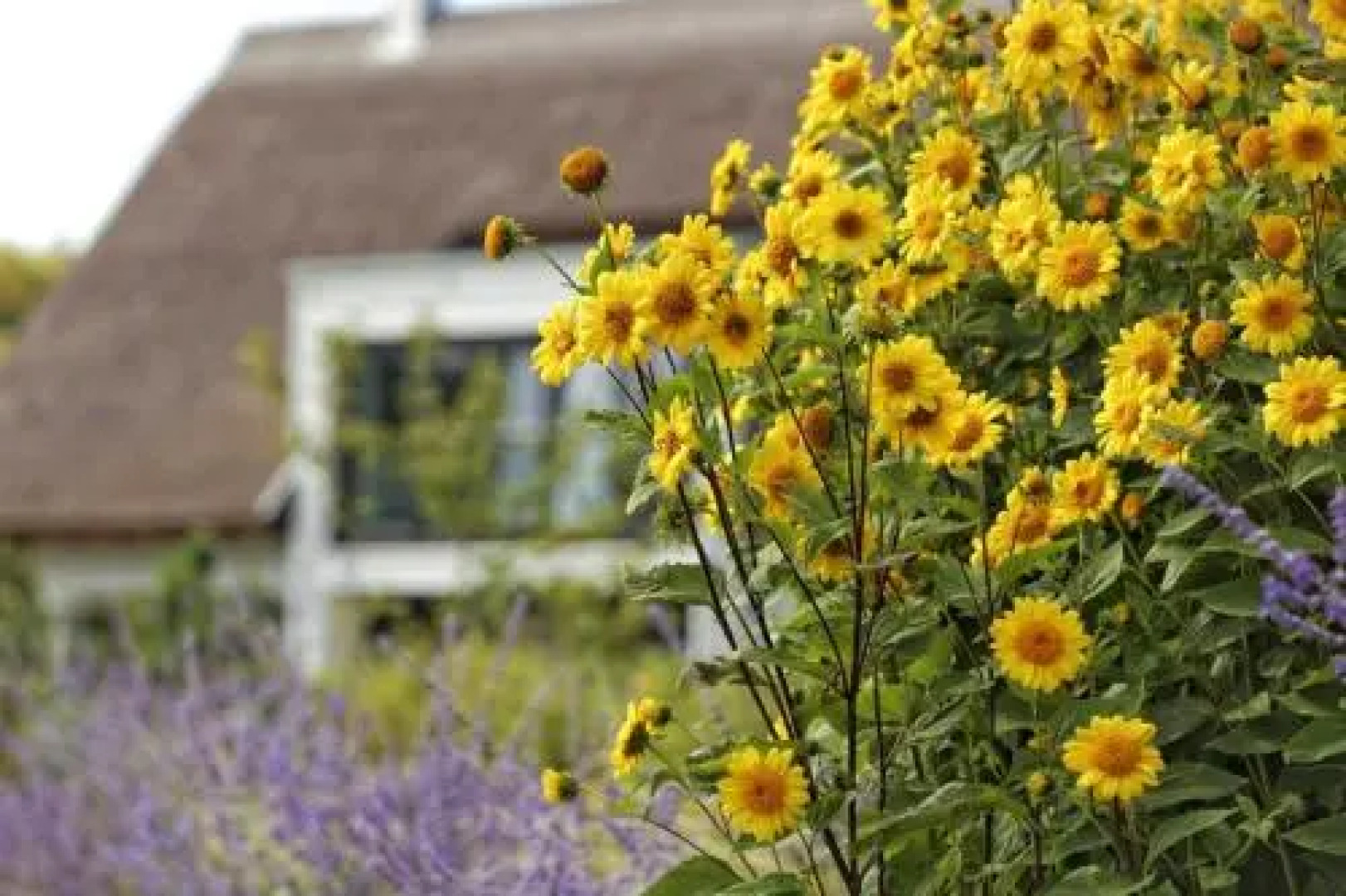 Straße der Freundschaft 30d