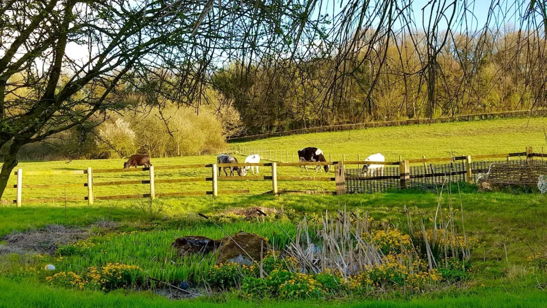 The Old Stables Bed & Breakfast