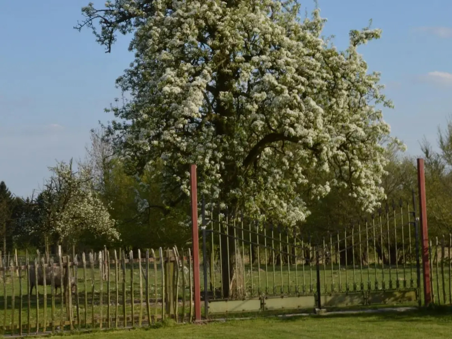 Comfortable Home With Sauna
