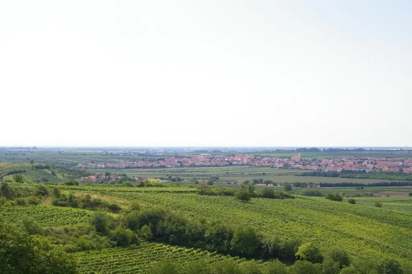 Vinařský penzion Přední Hora