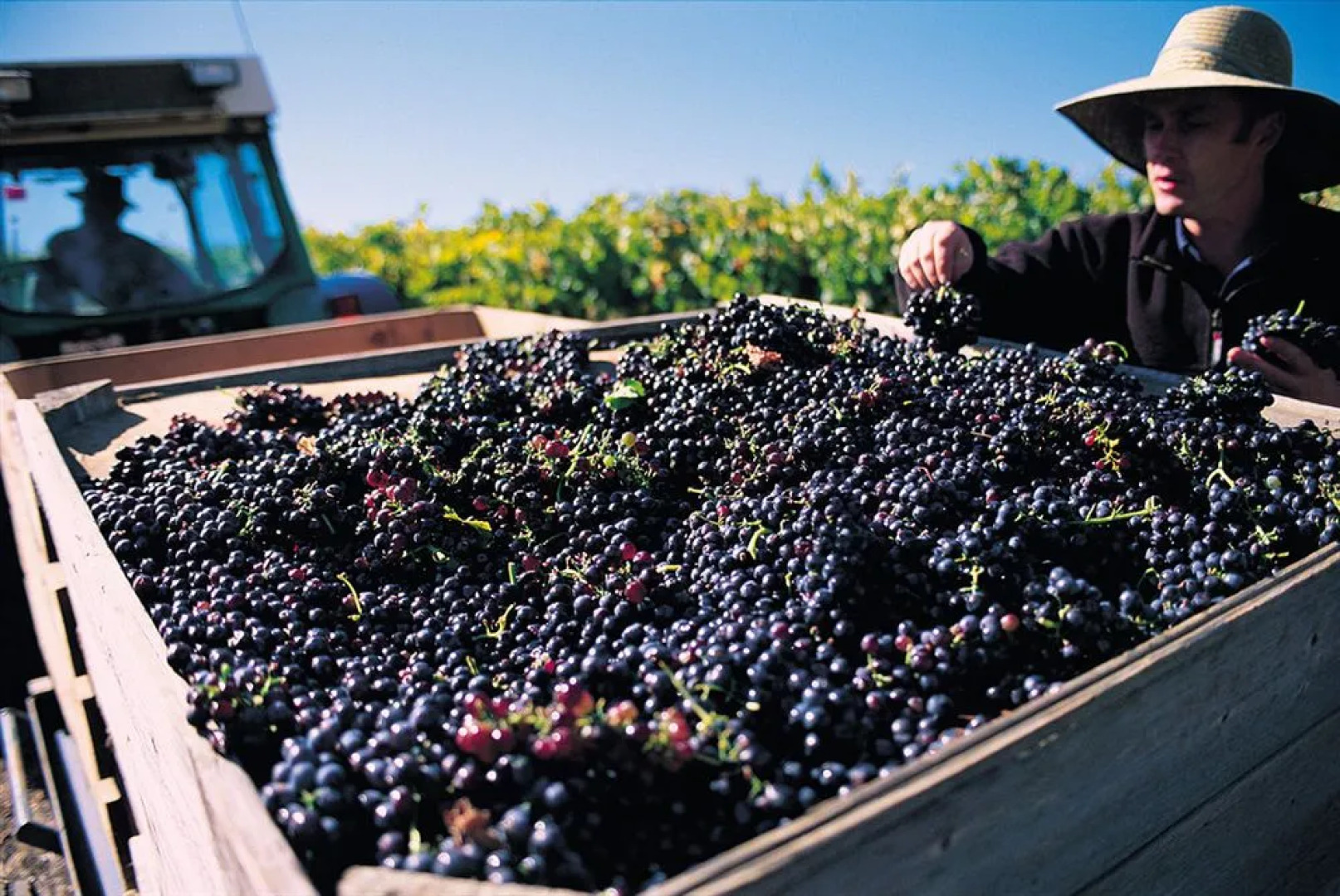 Abbotsford Country House Barossa Valley