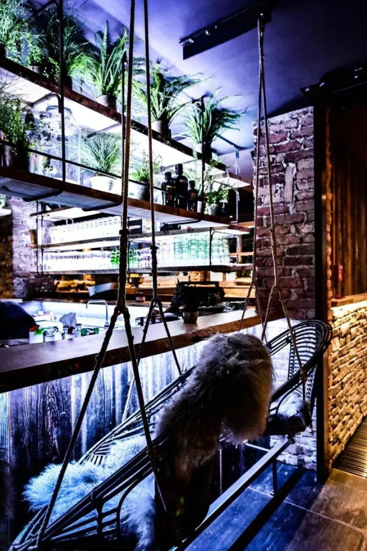 Lifestyle Hotel eder