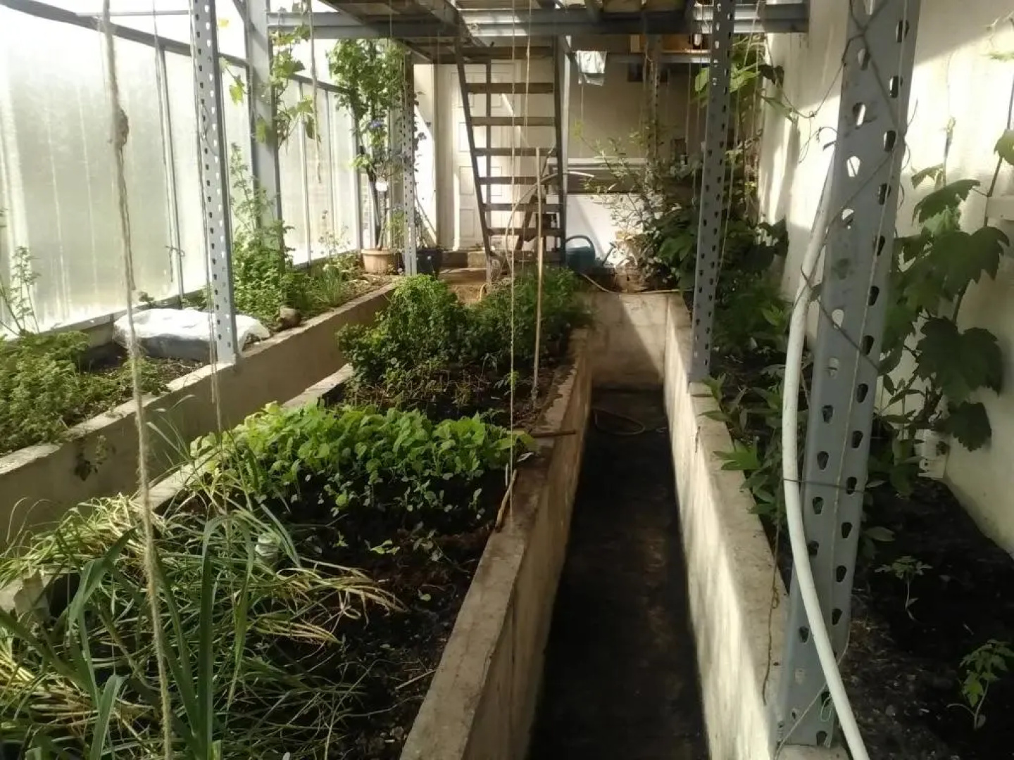 The Little Flock Farm