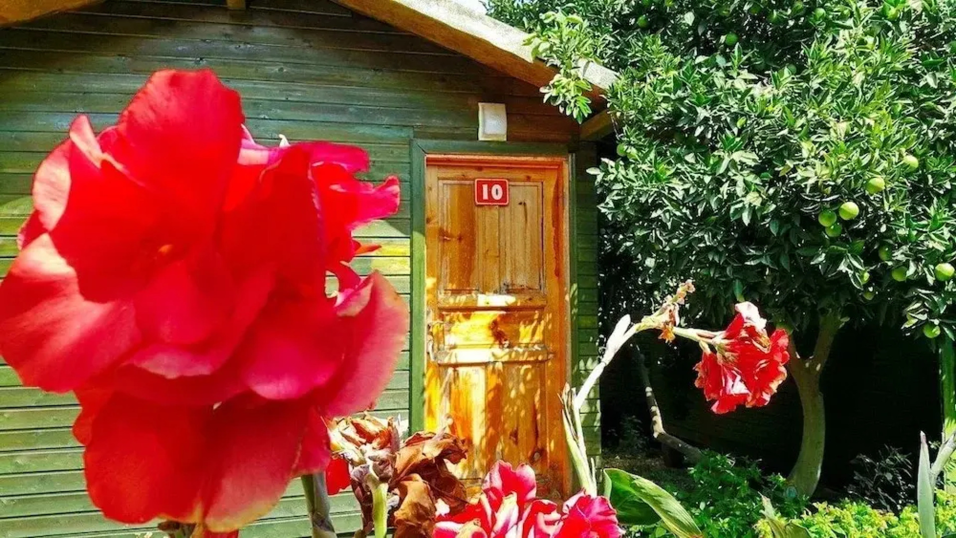 Olympos Yigit Pansiyon