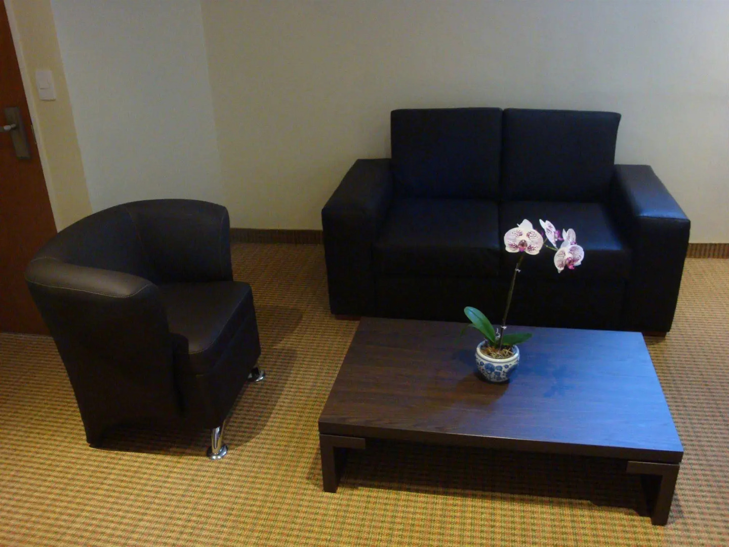 Hotel Continental Altamira