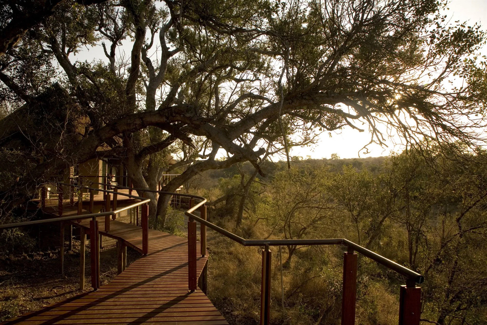 The River Lodge At Thornybush