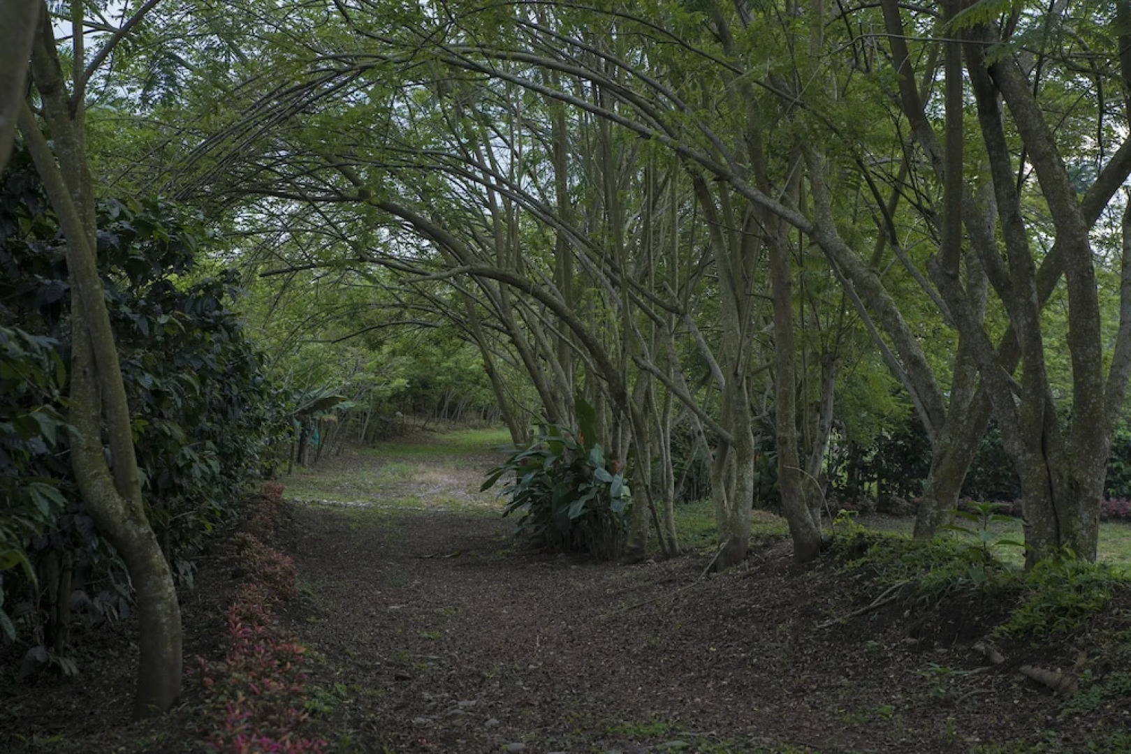 Finca Hotel Los Aperos