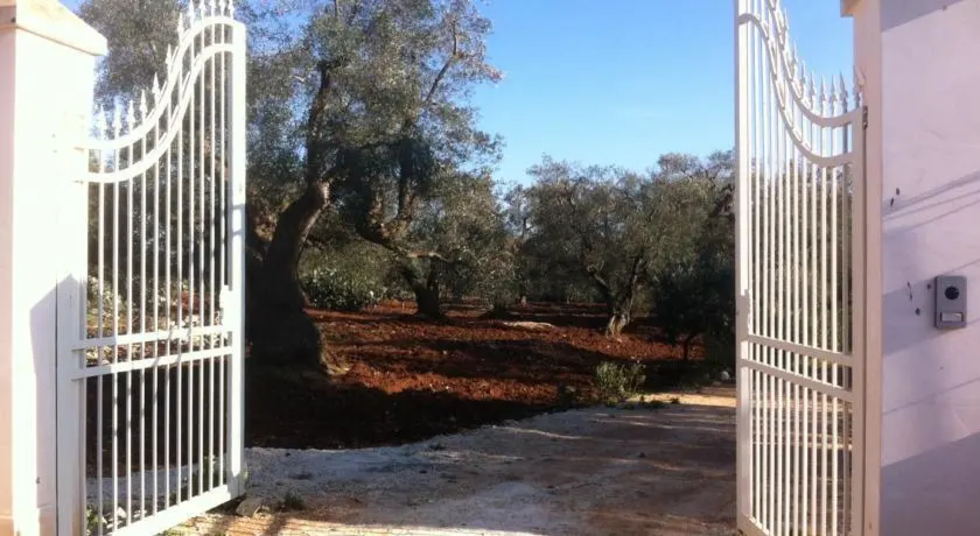 Il Giardino di Polinisso