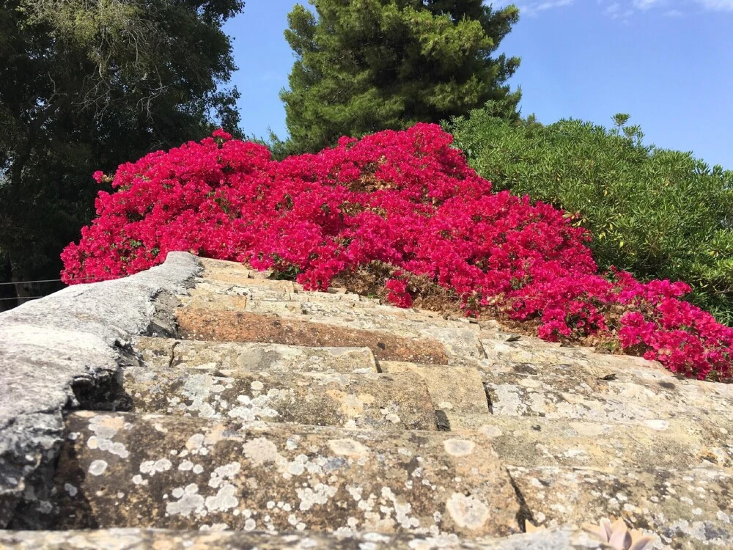 Villa With 4 Bedrooms in Augusta, With Private Pool, Enclosed Garden a