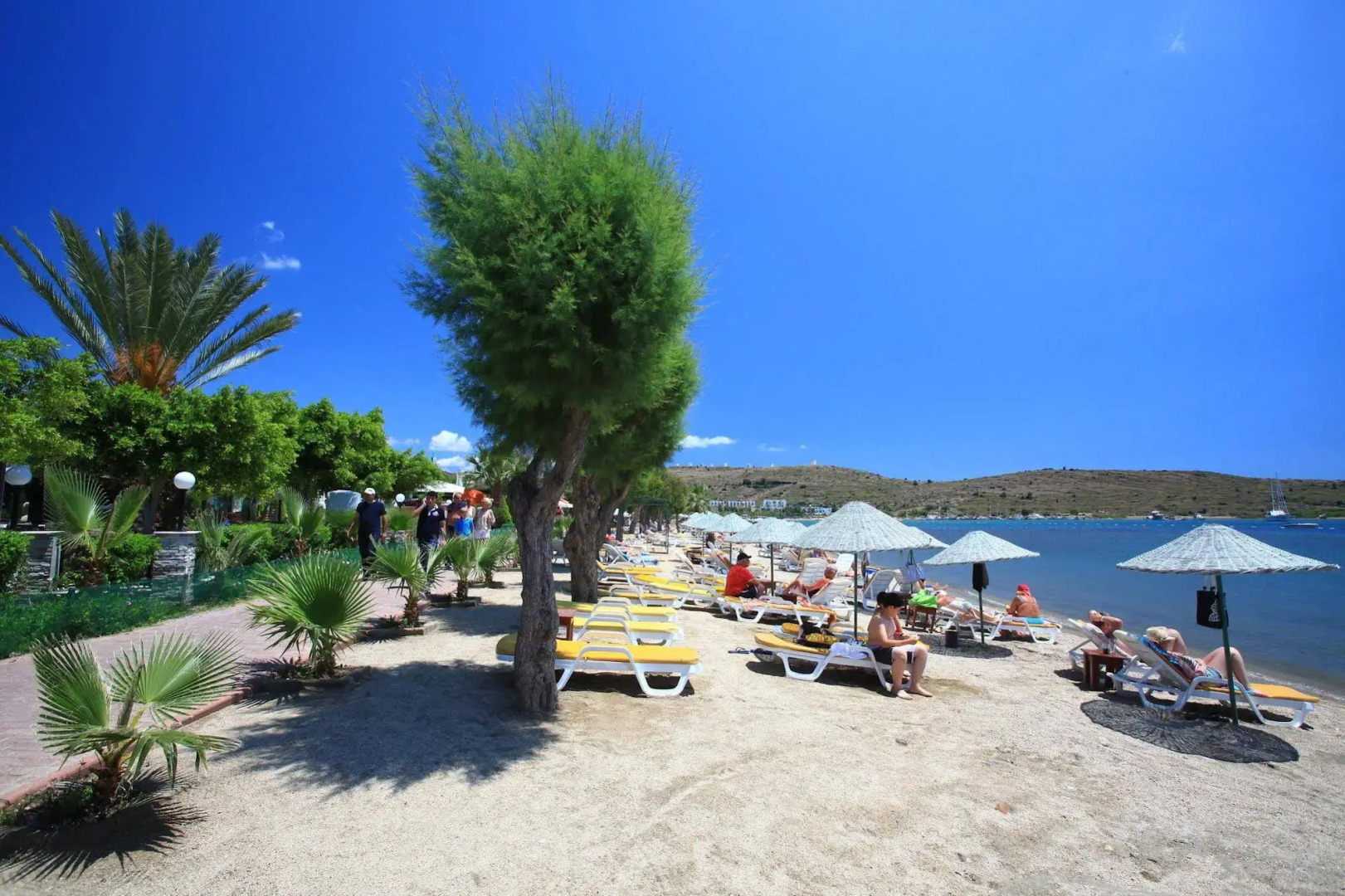 Отель Parkım Ayaz